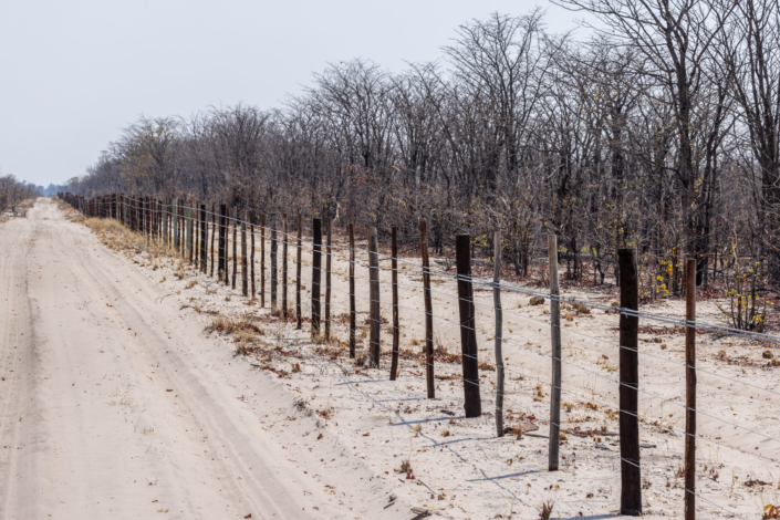 Photoreportage - la sécheresse dans le linyanti au Botswana provoque des conflits entre la faune et les populations locale