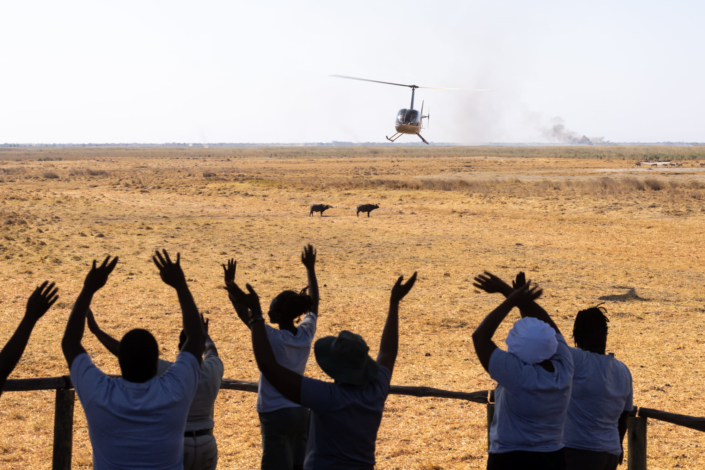 Réchauffement climatique dans l'Okavango - Les touristes arrivent dans la savane en hélicoptère